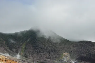 DSC_3697 (Large).JPG